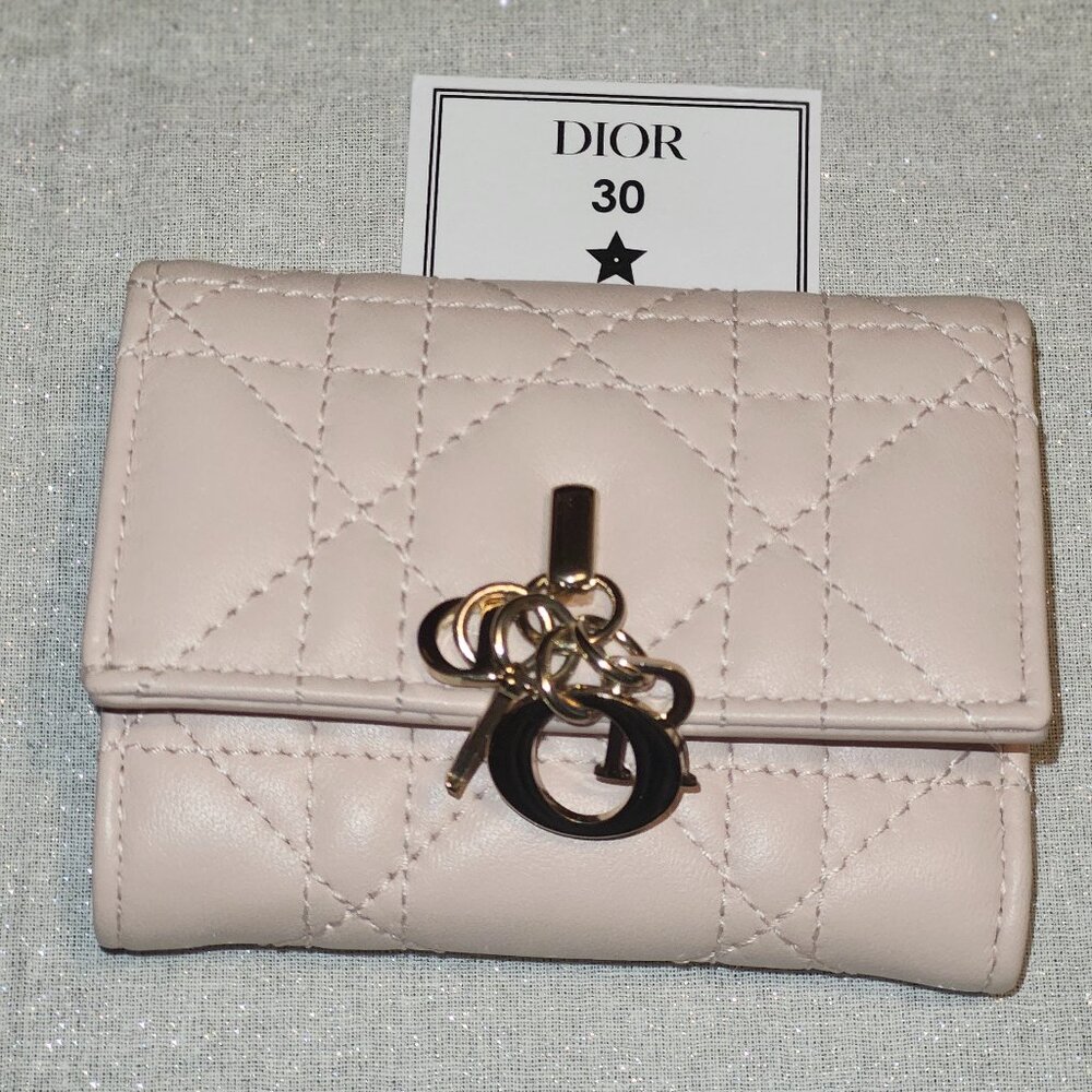 Mini dior veronia wallet Minor Scratch On Bottom
